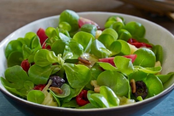 Mevsimi geldi : Semizotu